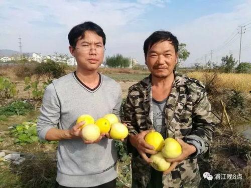 吃瓜群众原始人,见证时代变迁的旁观者