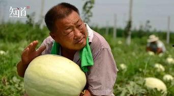 吃瓜群众白某,揭秘娱乐圈幕后风云