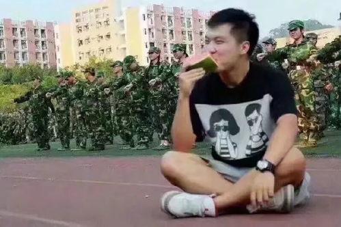 吃瓜群众ivy,揭秘娱乐圈幕后故事