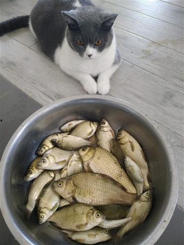 鱿小鱼吃瓜群众,揭秘网络热议背后的故事