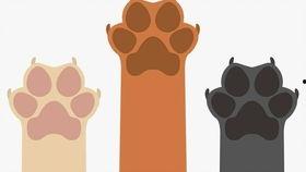 凑热闹吃瓜群众怎么说,揭秘网络热议背后的众生相