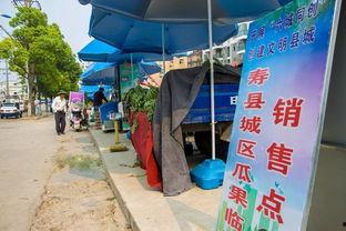 卖瓜小贩吃瓜群众,卖瓜小贩与吃瓜群众的市井百态