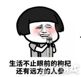 吃瓜群众的生存,如何在纷繁复杂的世界中保持清醒