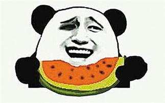 吃瓜群众跑步的视频下载