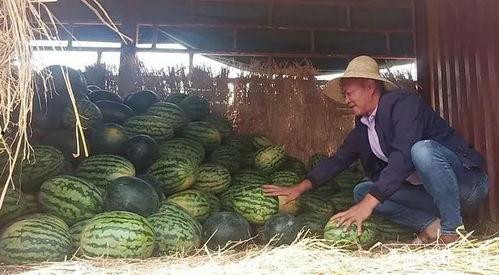 吃瓜群众哭图片,吃瓜群众共情瞬间