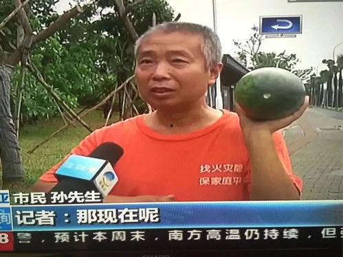 云南边境吃瓜群众事件,揭秘网络谣言背后的真相