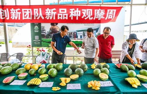 天津特色吃瓜群众