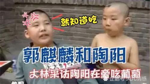 吃瓜群众老父亲视频大全,视频大全里的温馨瞬间