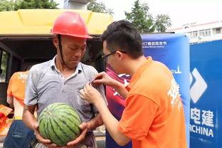 驻马店吃瓜群众事件真相,真相揭秘与反思