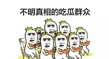 小伙伴吃瓜群众,网络热词背后的故事与影响
