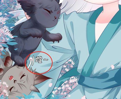 吃瓜群众小狐狸图片